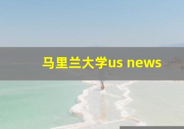 马里兰大学us news